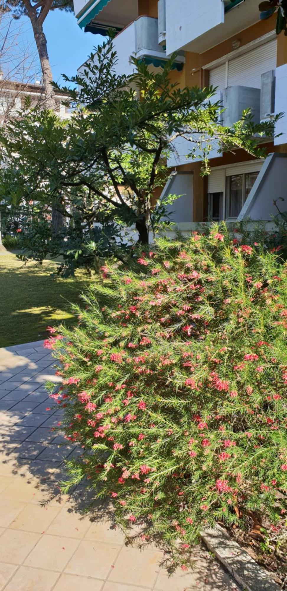 Versilia Apartment Forte dei Marmi Dış mekan fotoğraf
