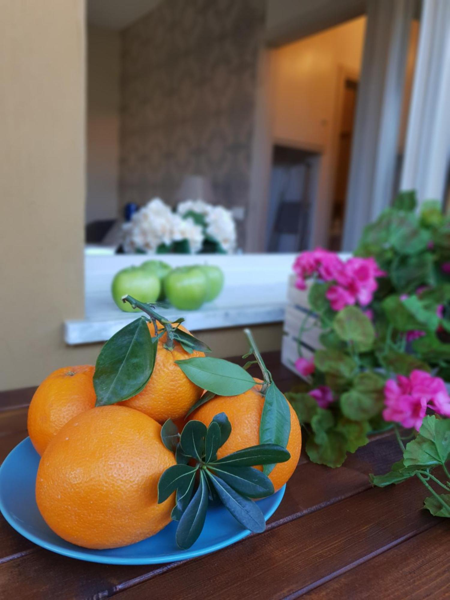 Versilia Apartment Forte dei Marmi Dış mekan fotoğraf