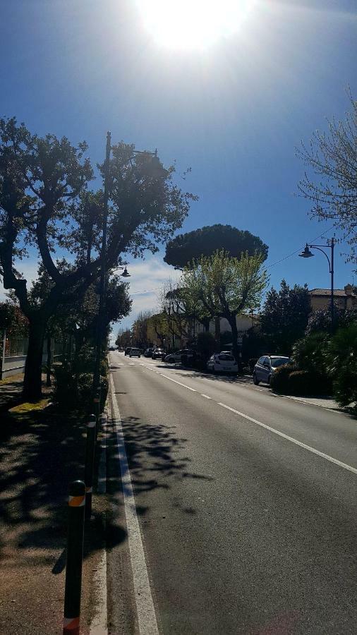 Versilia Apartment Forte dei Marmi Dış mekan fotoğraf