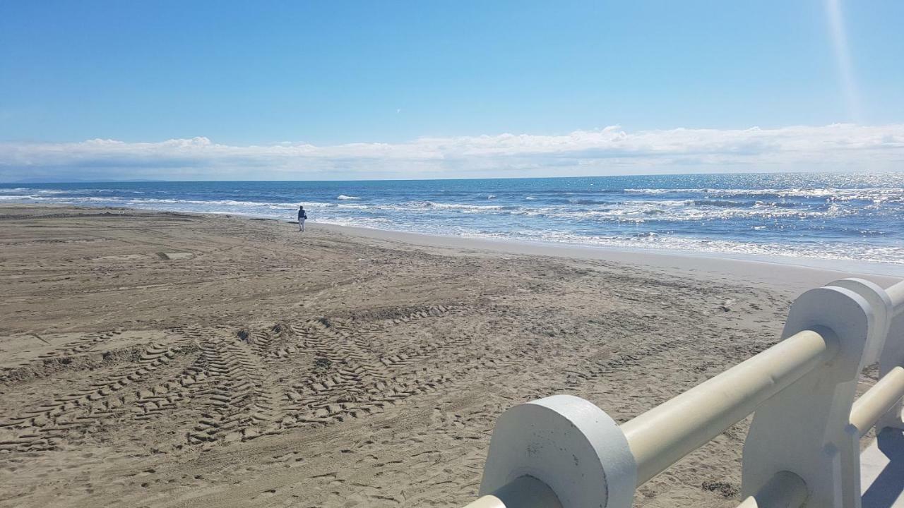 Versilia Apartment Forte dei Marmi Dış mekan fotoğraf